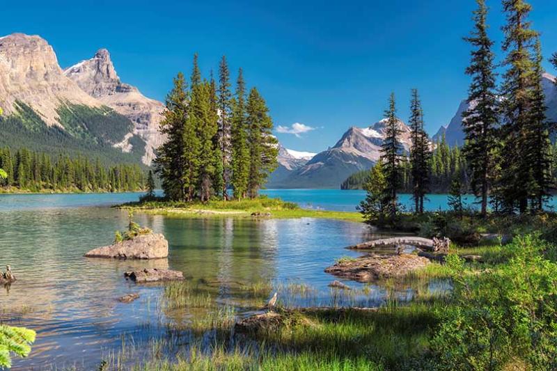 Canadian Affair said demand was up for rail and cruise breaks