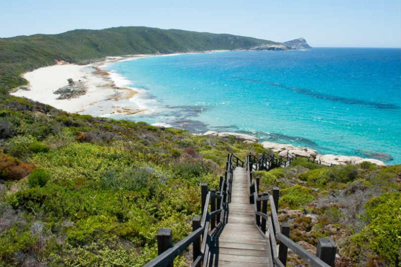 All visitor visa holders should leave Australia