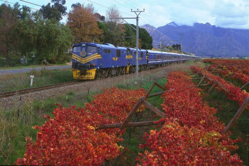 South Africa’s Blue Train safari itinerary has been updated