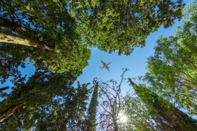 The airlines will engage in negotiations on the possible pre-purchase of verified carbon removal credits starting in 2025 through to 2028