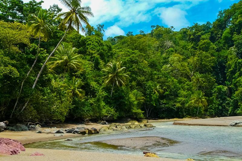 Osa Peninsula, Costa Rica
