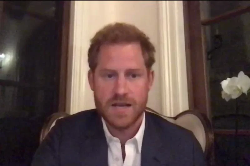 The Duke of Sussex urged travel businesses to “reshape” the sector post-Covid