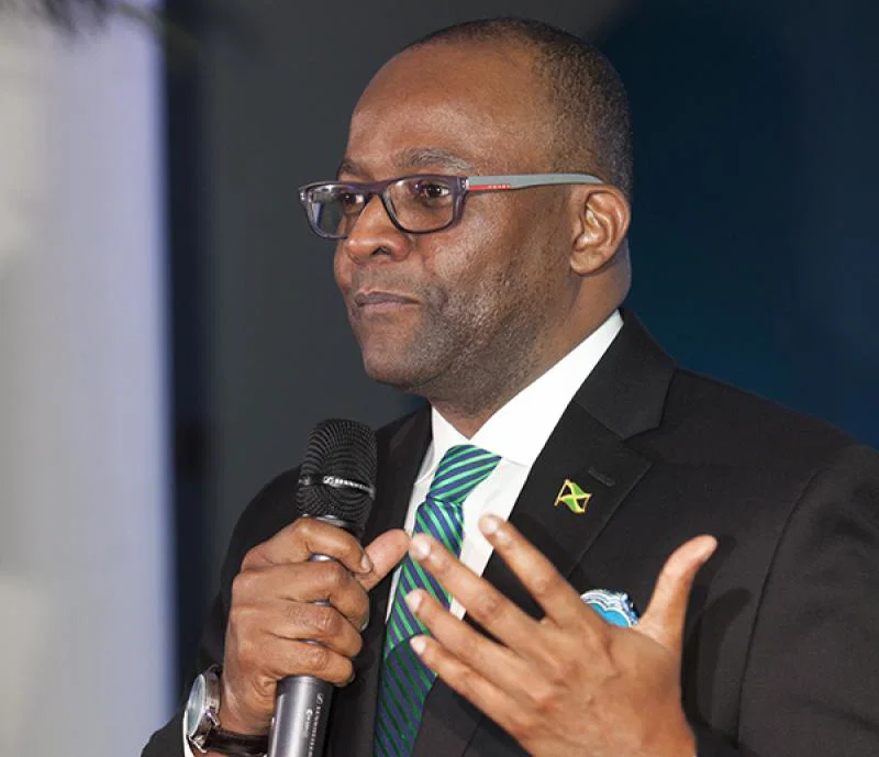 Q&A: Donovan White, director of Jamaica tourism