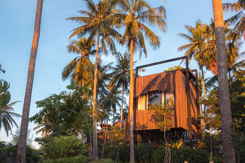 A treehouse canopy suite at Nirjhana