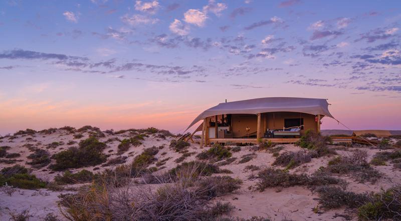 Sal Salis on the shores of Ningaloo Reef