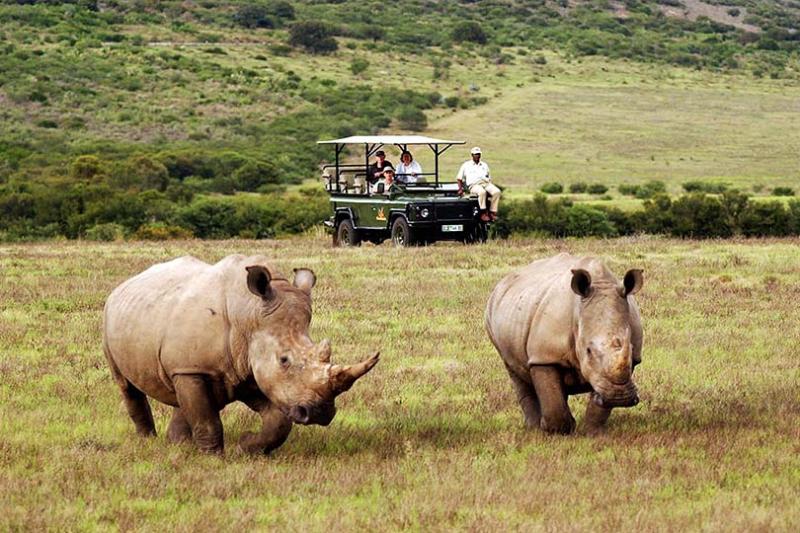 Hotels around the world with new activities to try