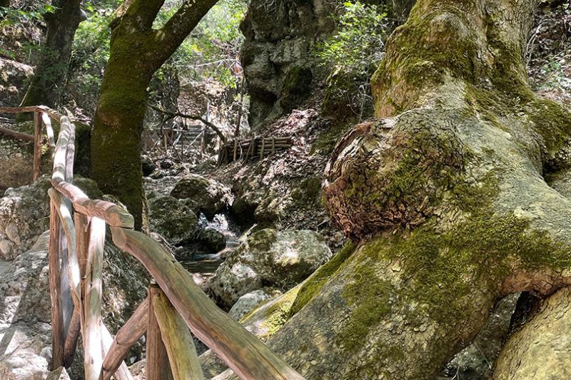 One of Rhodes' most fascinating natural attractions is Butterfly Valley