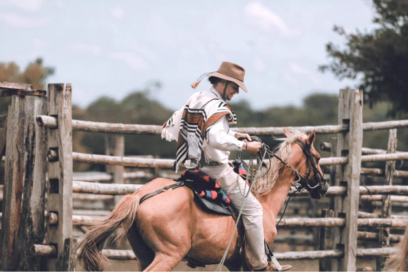 Pupils can learn the culture of the Llaneros cowboys in Colombia