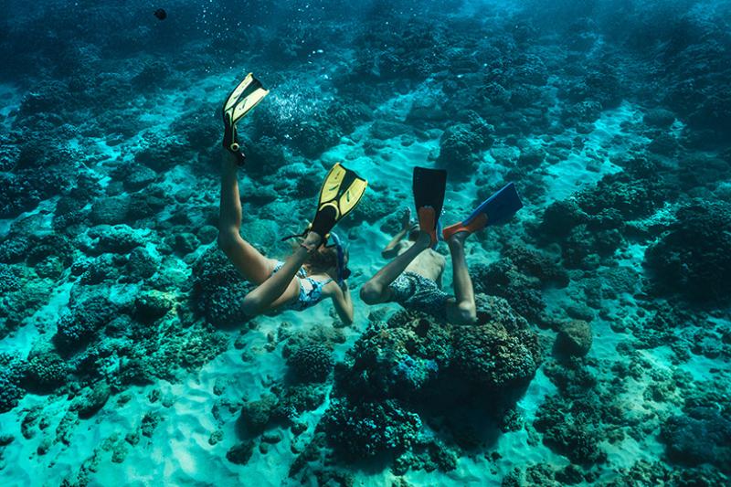 A Jean-Michel Cousteau partnership ensures ocean stewardship and plenty of marine activities