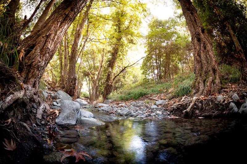 CYPRUS IN SHOULDER SEASON: IN FOCUS 