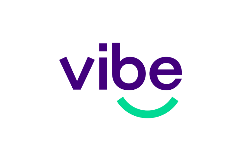 Vibe Systems logo