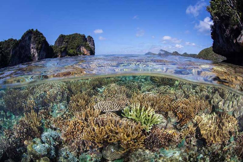 Reefscape Travel focuses on resorts with strong sustainability credentials
