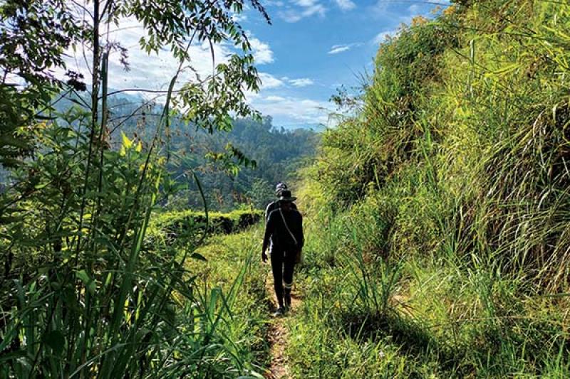 10 new experiences and properties to help you sell Sri Lanka