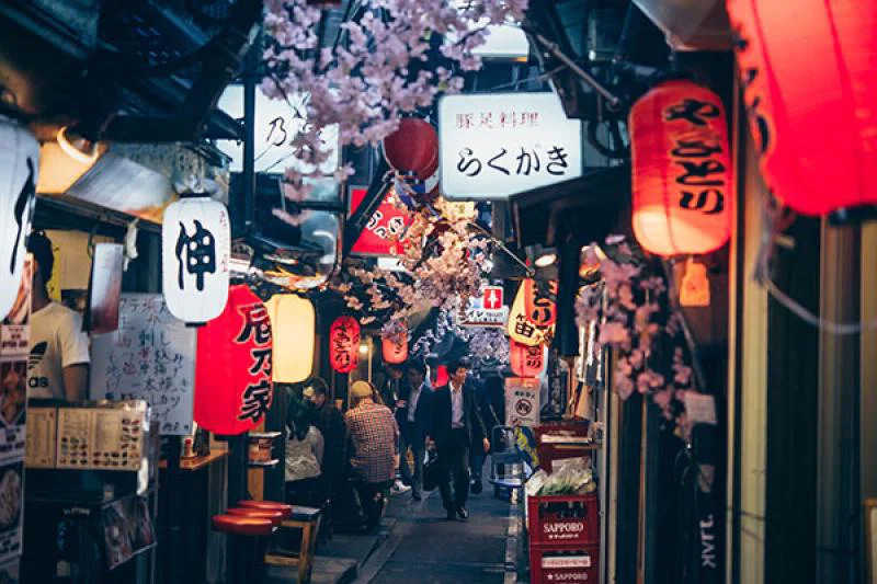 Tokyo is famed for its yokocho food and drink quarters