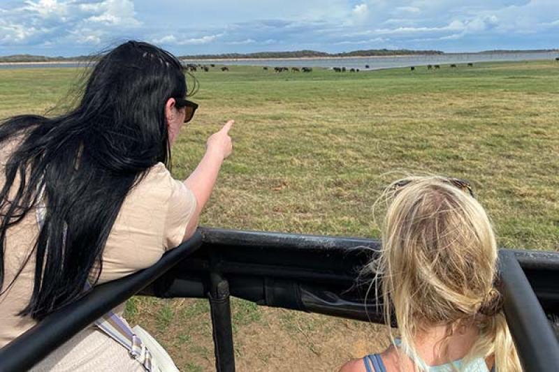 Elephant safari in Kaudulla National Park, Sri Lanka
