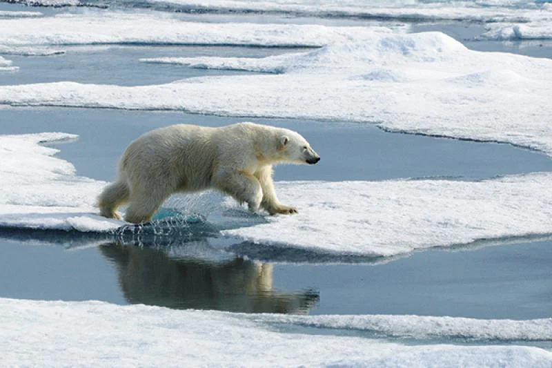 EXPEDITIONS 