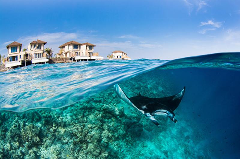 The resort works in partnership with the Manta Trust