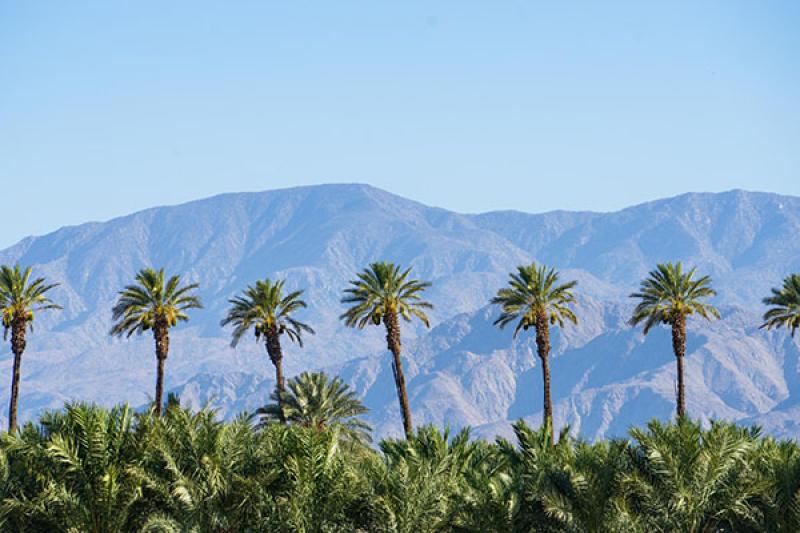 Greater Palm Springs is famed for its sunny weather