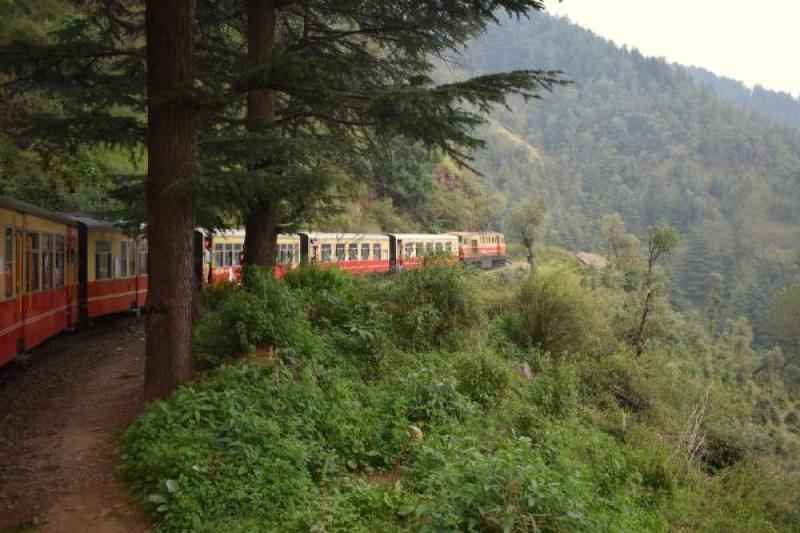 Pettitts Travel celebrates 35 years