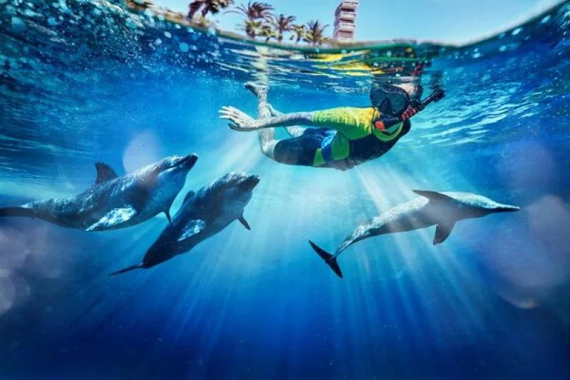 Travel's wave of change on animal welfare: a long overdue step change?