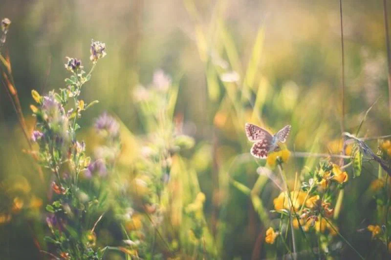Determine your sustainability narrative – your staff and customers will love it