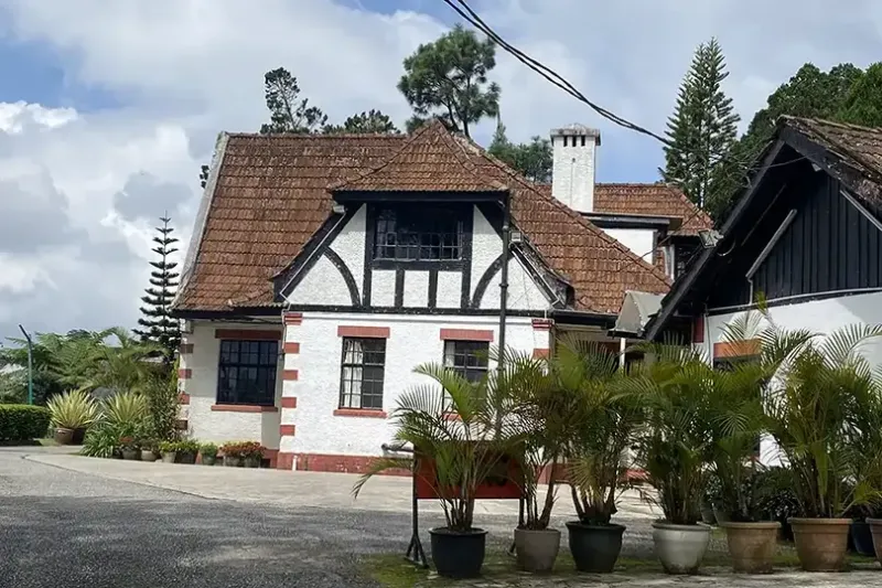 Cameron Highlands 
