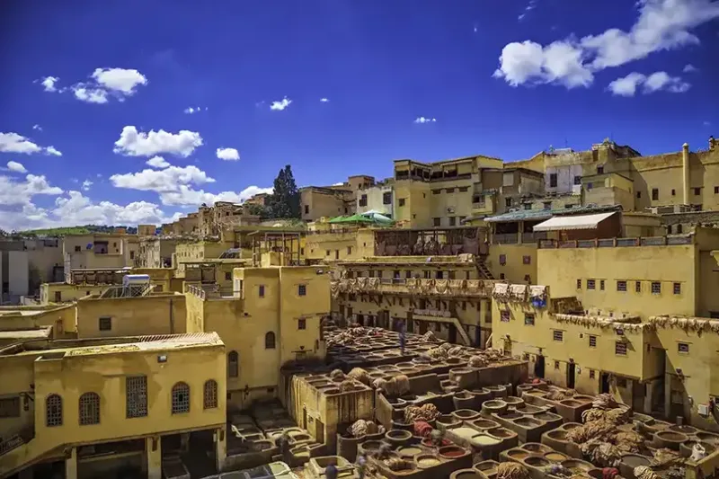 Tannery in Fez