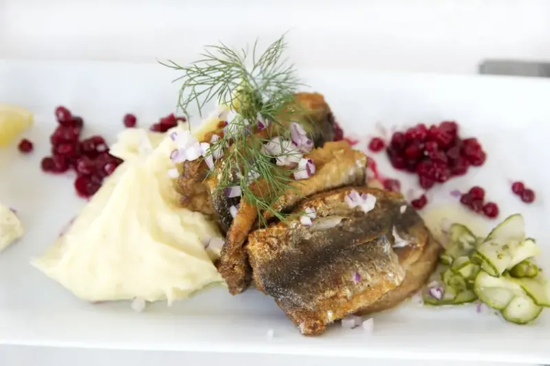 Herring 