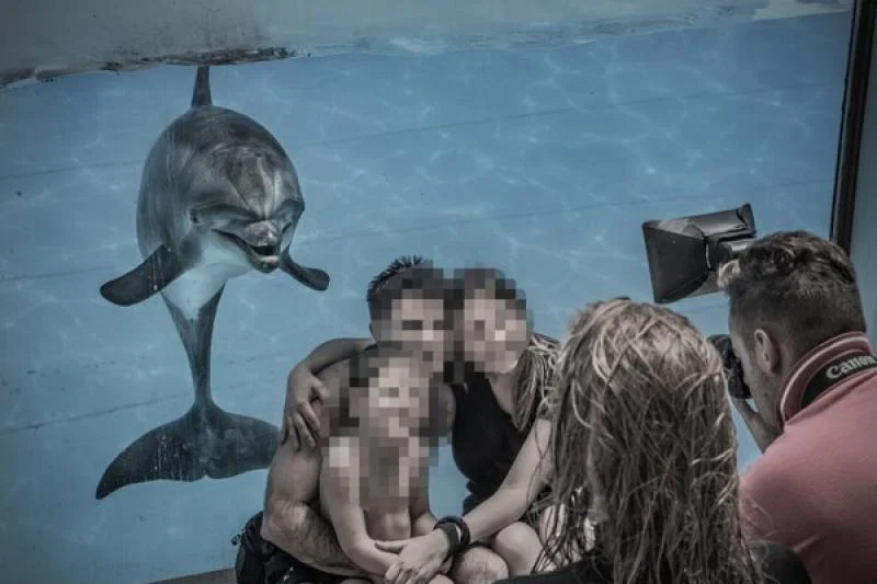 Dolphin_cetaceans_photo_prop_Italy_3__Britta_Jaschinski_for_Born_Free_Britta_Jaschinski_for_Born_Free (Credit: Born Free / Britta Jaschinski)