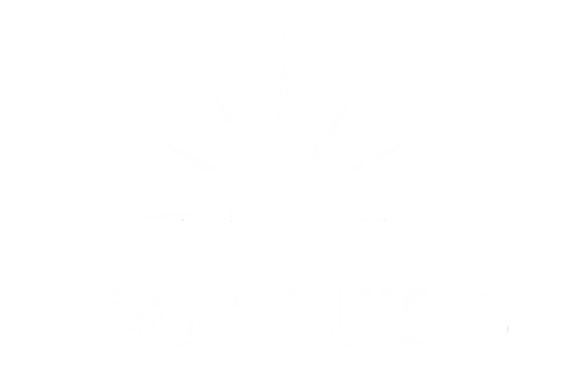 TOP OCEAN CRUISE AGENCY