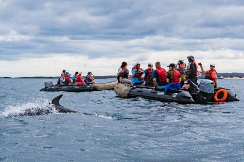HX, Galapagos, July 2025