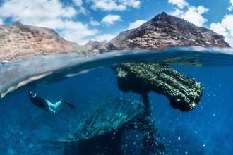 Why St Helena should be on clients’ island destination bucket lists